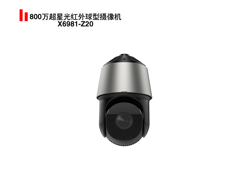 X6981-Z20