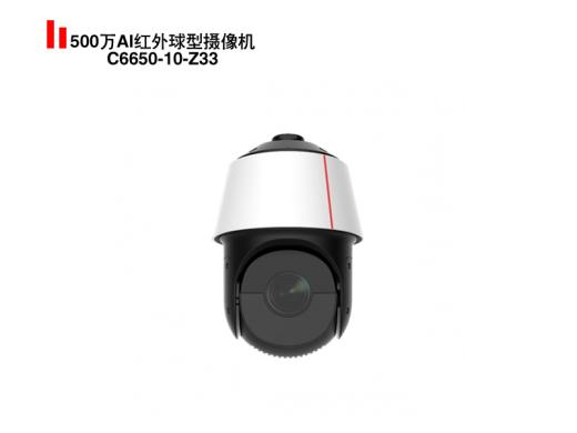 500萬AI紅外球型攝像機C6650-10-Z33